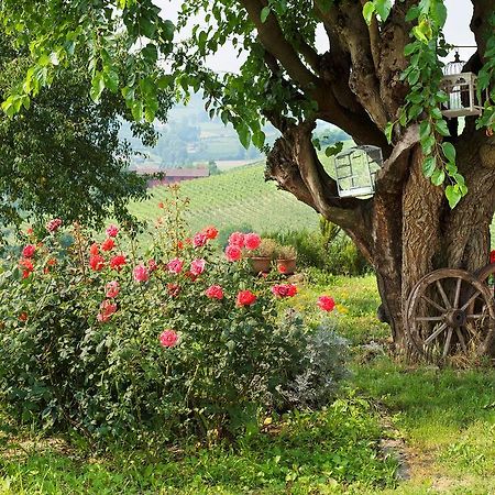 نيتسا مونفيراتو Agriturismo Albarossa المظهر الخارجي الصورة