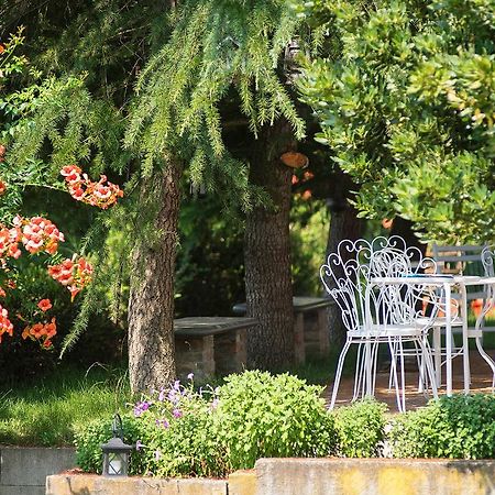نيتسا مونفيراتو Agriturismo Albarossa المظهر الخارجي الصورة