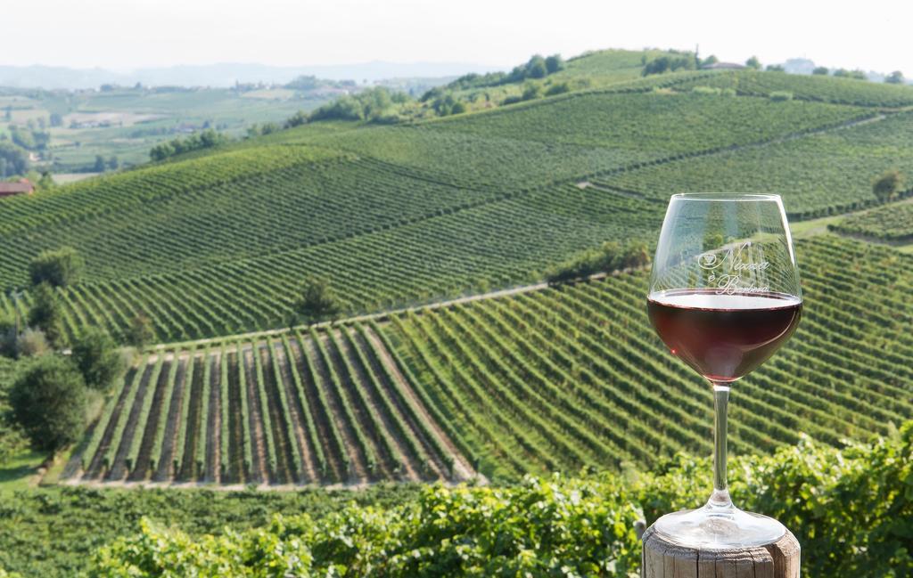 نيتسا مونفيراتو Agriturismo Albarossa المظهر الخارجي الصورة