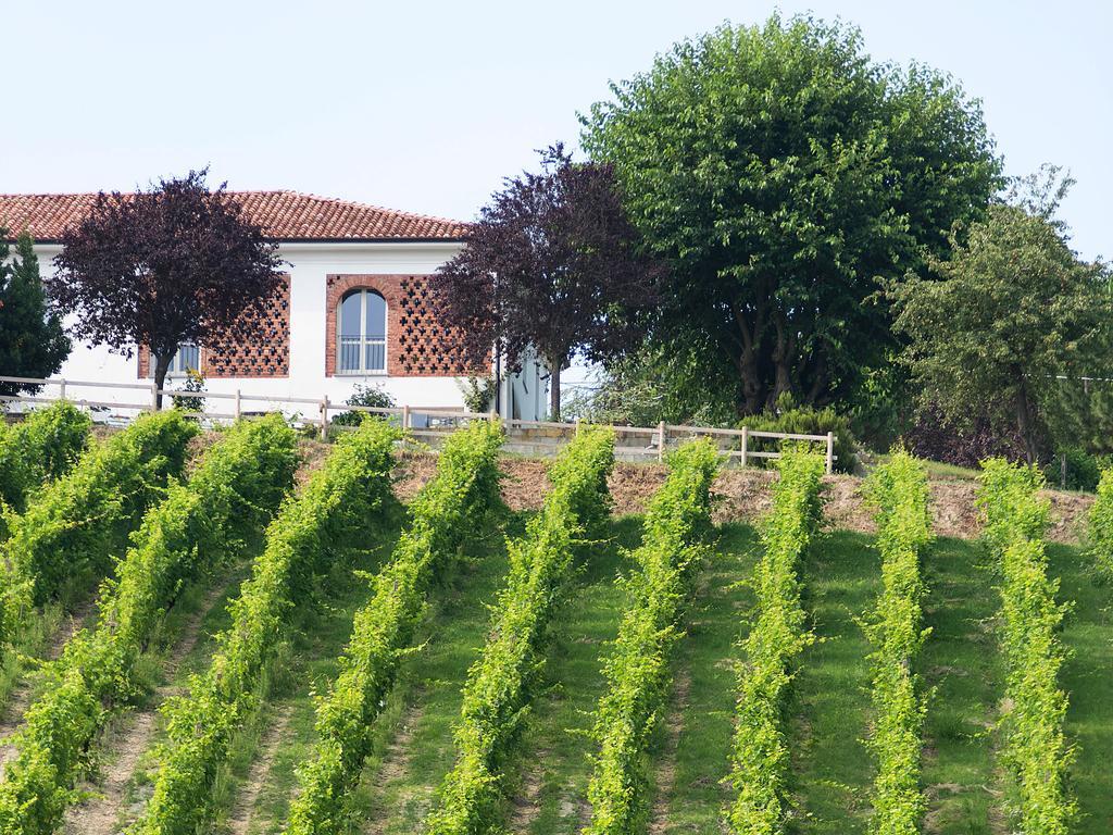 نيتسا مونفيراتو Agriturismo Albarossa المظهر الخارجي الصورة