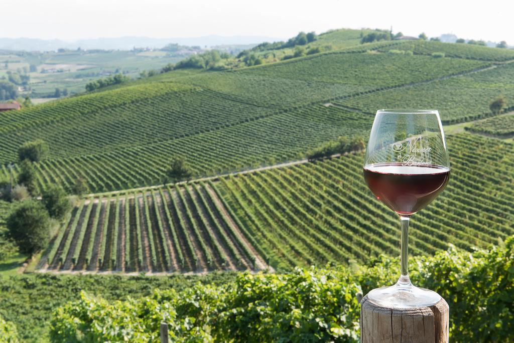 نيتسا مونفيراتو Agriturismo Albarossa المظهر الخارجي الصورة