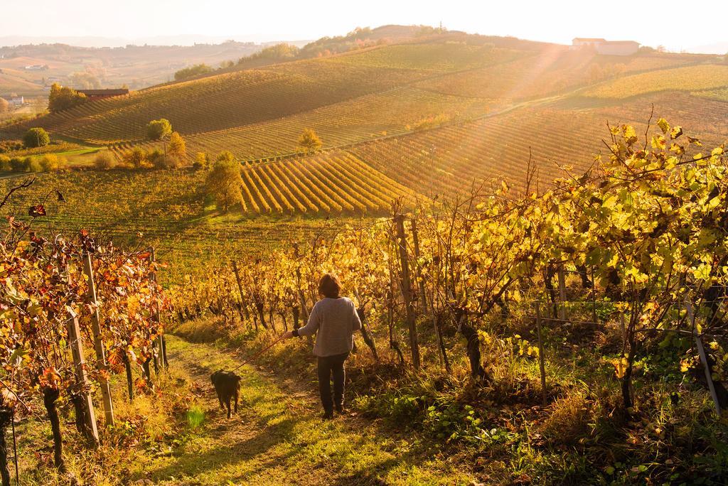 نيتسا مونفيراتو Agriturismo Albarossa المظهر الخارجي الصورة