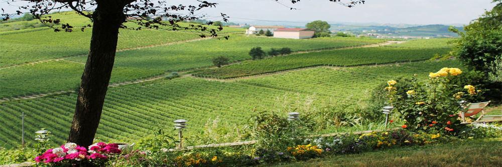 نيتسا مونفيراتو Agriturismo Albarossa المظهر الخارجي الصورة