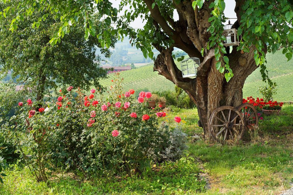 نيتسا مونفيراتو Agriturismo Albarossa المظهر الخارجي الصورة
