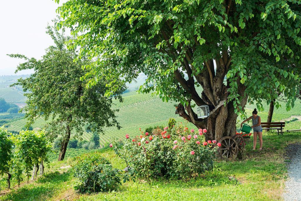 نيتسا مونفيراتو Agriturismo Albarossa المظهر الخارجي الصورة
