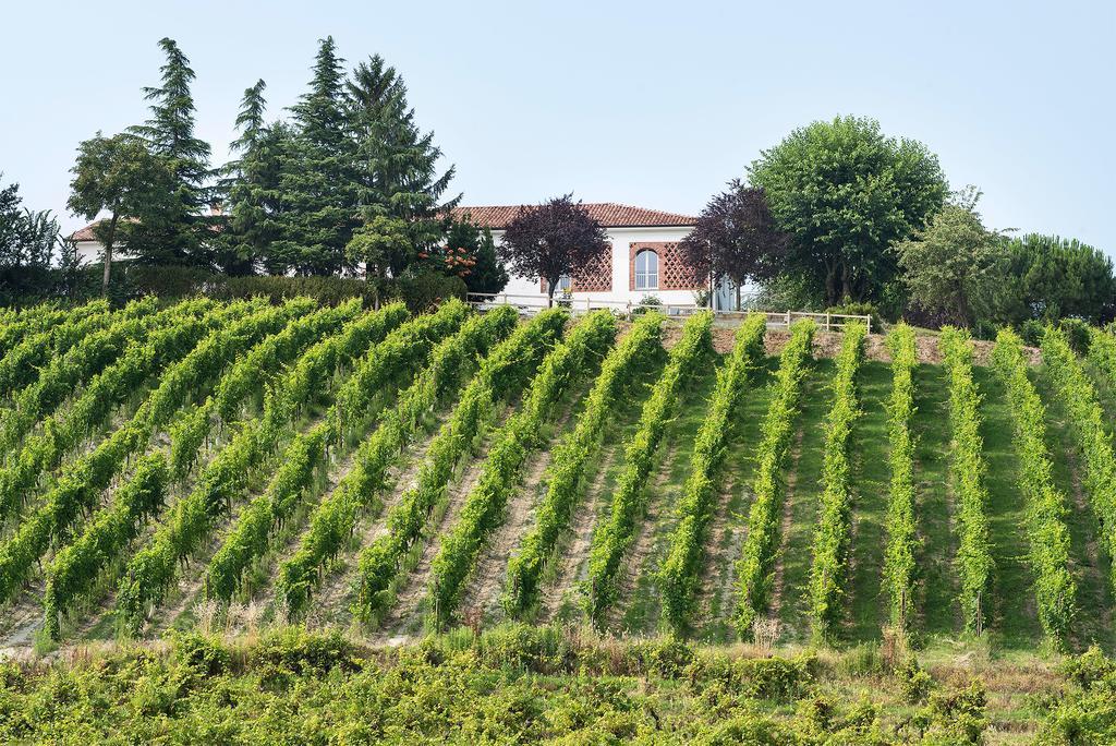 نيتسا مونفيراتو Agriturismo Albarossa المظهر الخارجي الصورة